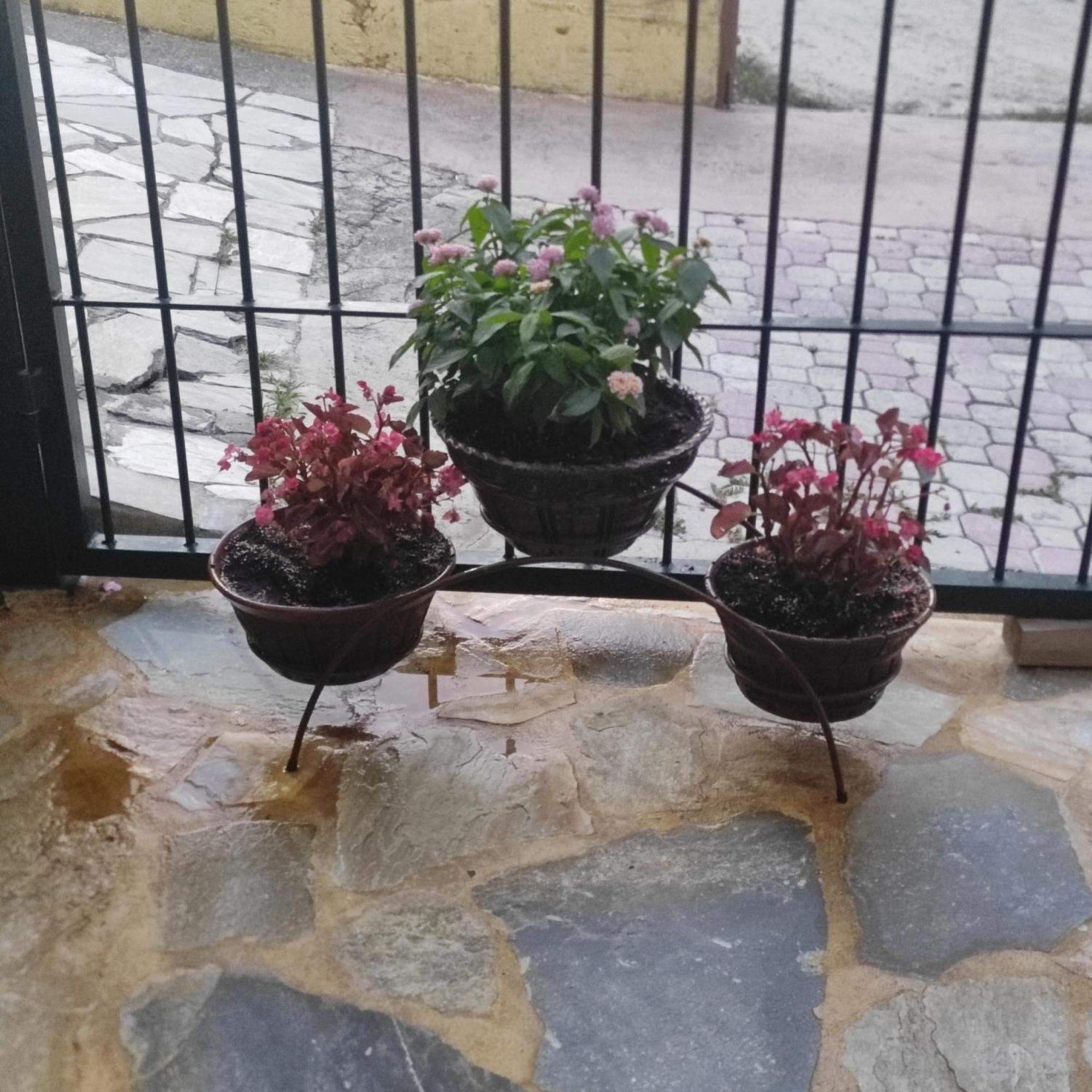 Eleni-Areti Apartment Pefkochori Exterior photo